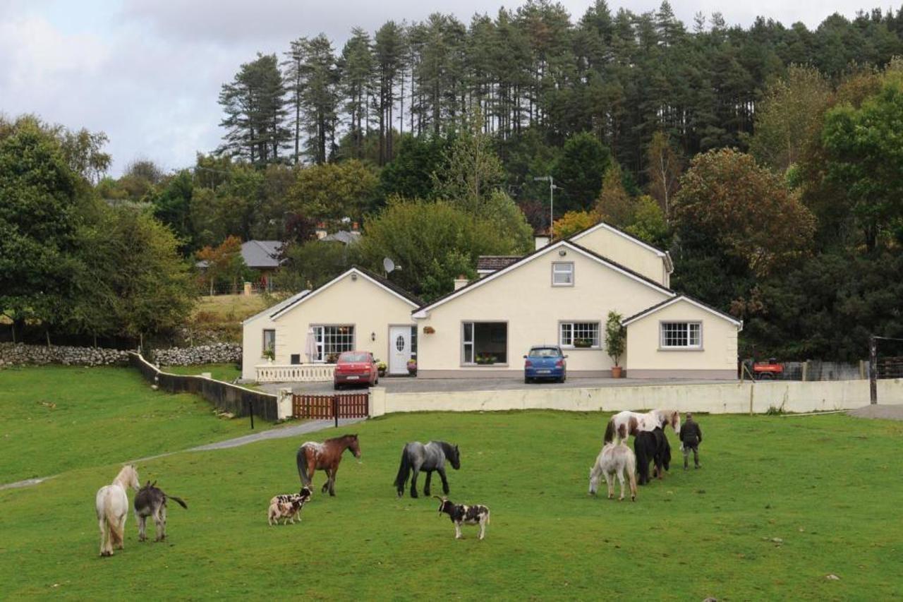 קיל איירן Muckross Riding Stables מראה חיצוני תמונה