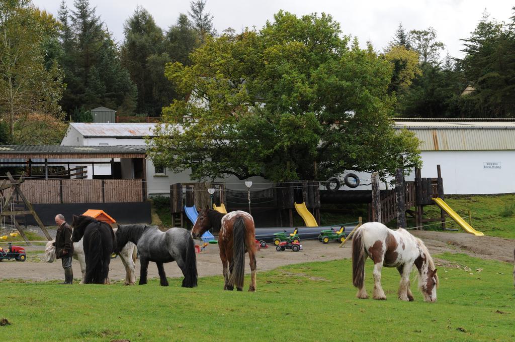 קיל איירן Muckross Riding Stables מראה חיצוני תמונה