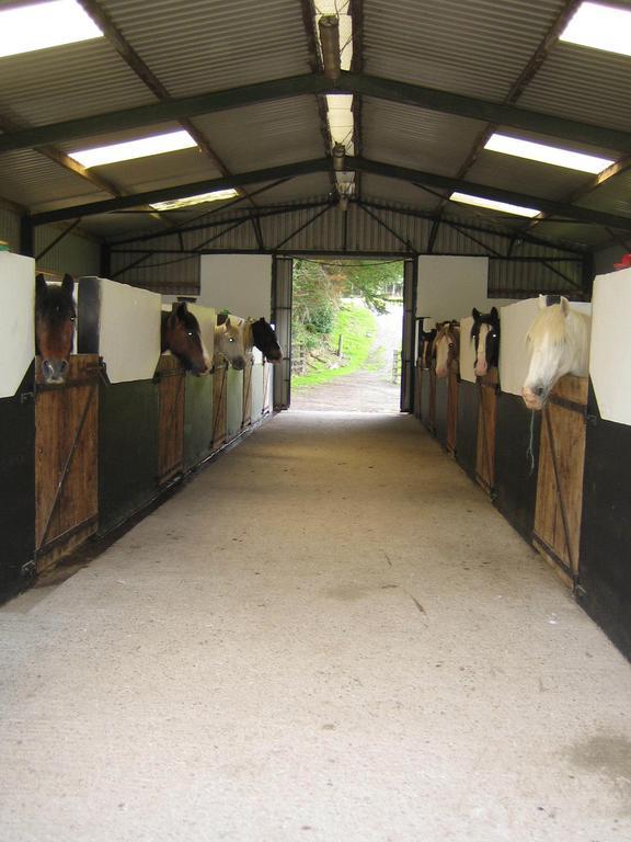 קיל איירן Muckross Riding Stables מראה חיצוני תמונה